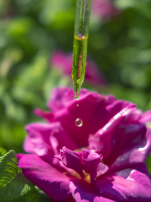 Régule la production de sébum, adoucit l’apparence des rides, apaise l’acné et les imperfections cutanées, aide à la cicatrisation et donne de l’éclat. serum de rose