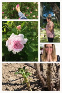 karine martineau, oser fleurir